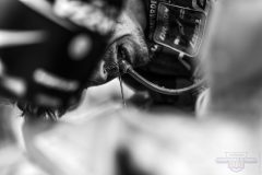 03_rondedessablesloon25_finish_42